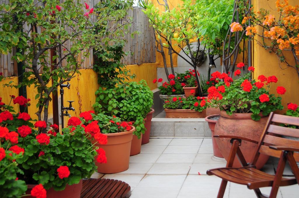 Optimus Ba Bed & Breakfast Buenos Aires Room photo